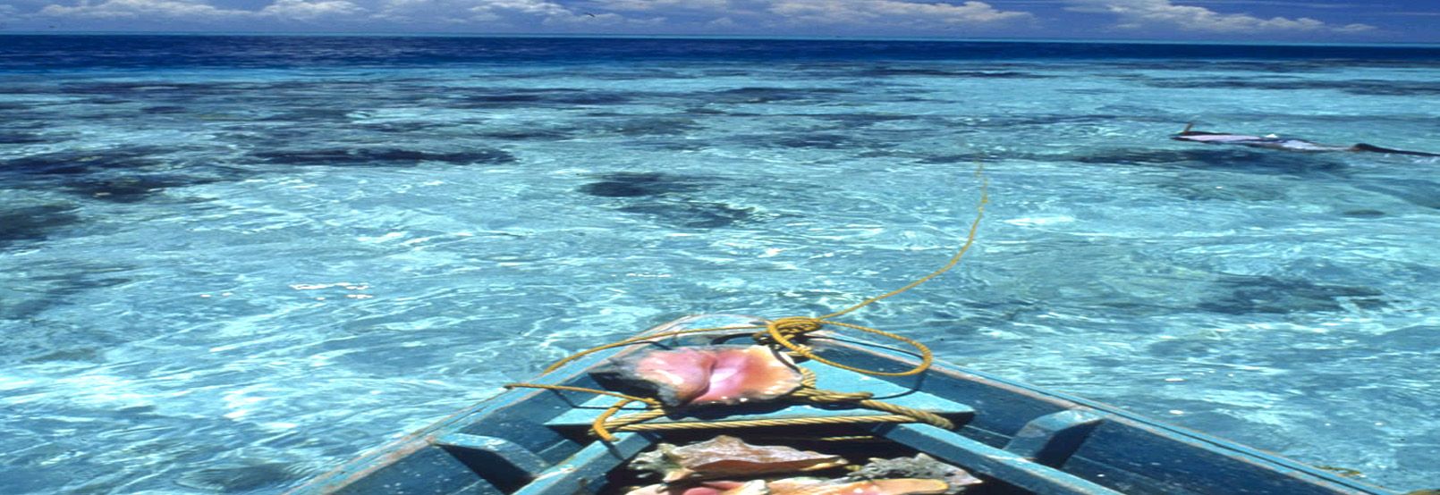 Ruta de la Costa Esmeralda en Yucatán
